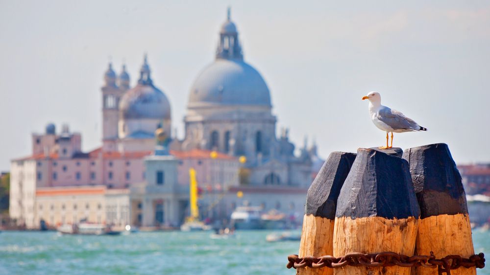 Benátky zažívají nápor turistů jako před pandemií